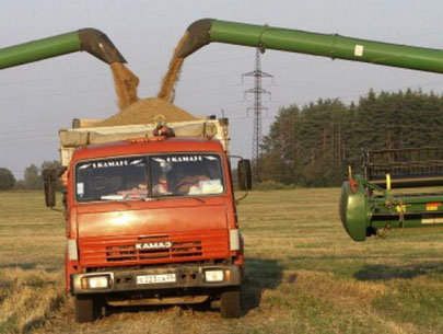зерноперевозки украина