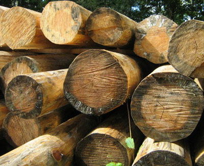 Отбеливатели для древесины