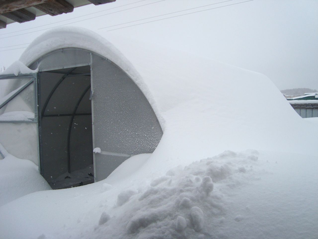 теплица Звезда