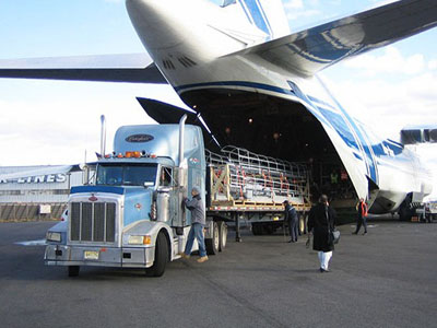 грузовые авиаперевозки служба доставки 7877