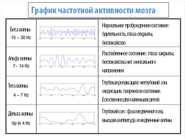 График частотной активности мозга